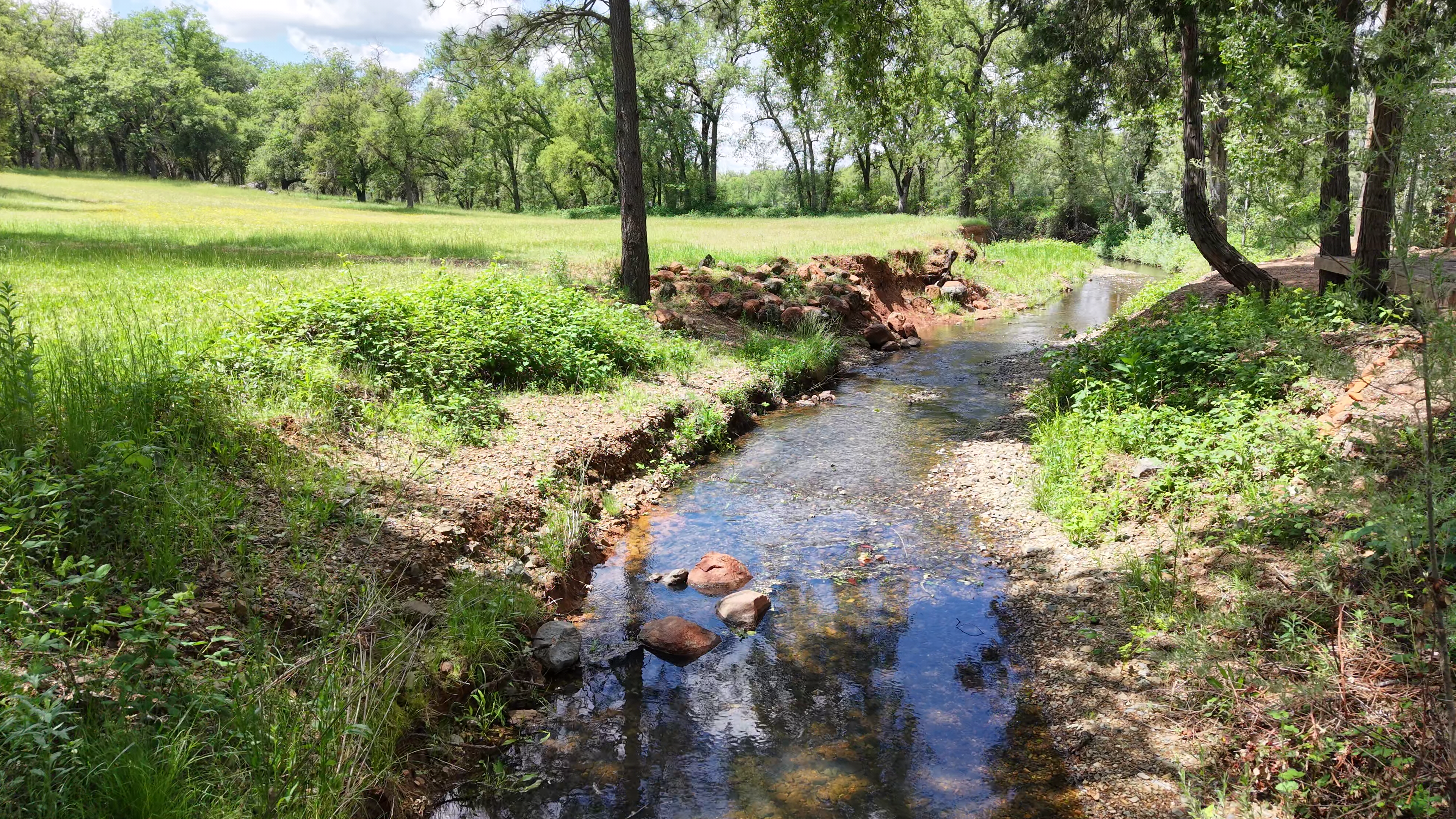 Creek and nature